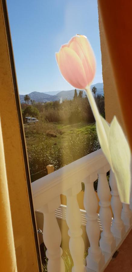 Apartamento Mar Y Sol, Дения Экстерьер фото